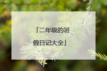 二年级的暑假日记大全