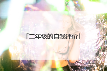 二年级的自我评价