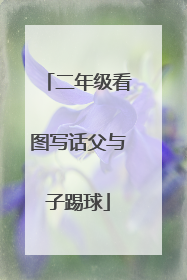 二年级看图写话父与子踢球