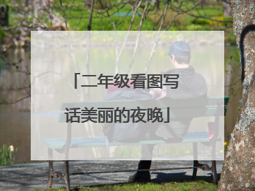 二年级看图写话美丽的夜晚