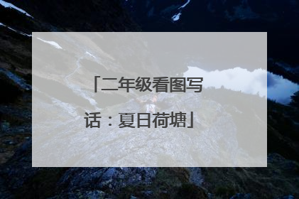 二年级看图写话：夏日荷塘