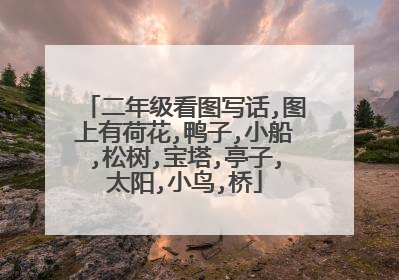二年级看图写话,图上有荷花,鸭子,小船,松树,宝塔,亭子,太阳,小鸟,桥