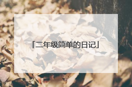 二年级简单的日记