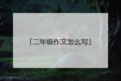 二年级作文怎么写