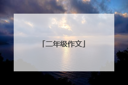 二年级作文