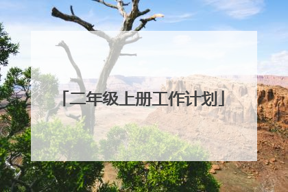 二年级上册工作计划