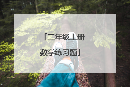 二年级上册数学练习题