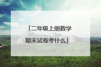 二年级上册数学期末试卷考什么