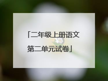 二年级上册语文第二单元试卷