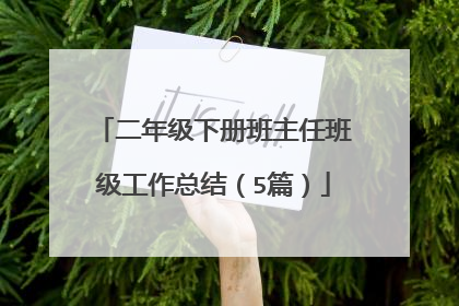 二年级下册班主任班级工作总结（5篇）