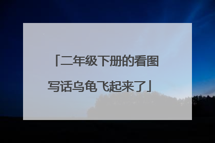 二年级下册的看图写话乌龟飞起来了