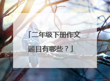二年级下册作文题目有哪些？