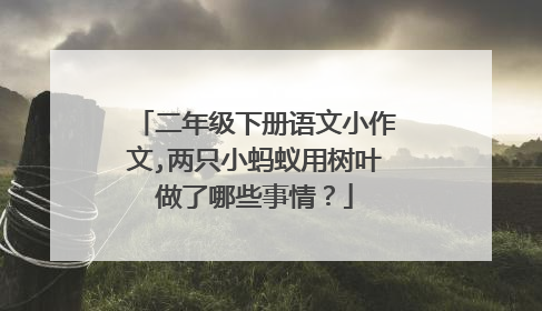 二年级下册语文小作文,两只小蚂蚁用树叶做了哪些事情?