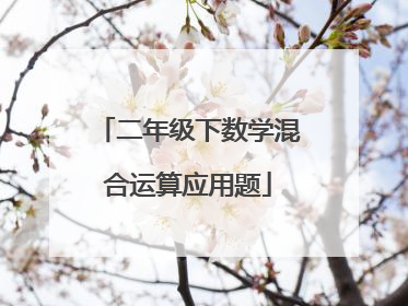 二年级下数学混合运算应用题