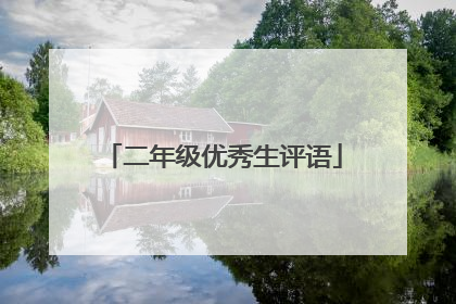 二年级优秀生评语