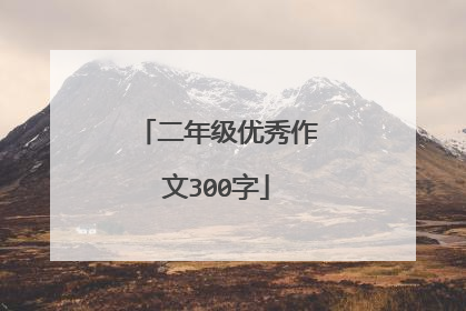 二年级优秀作文300字