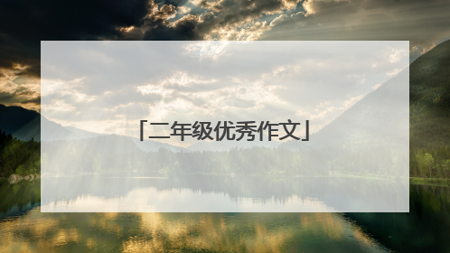 二年级优秀作文