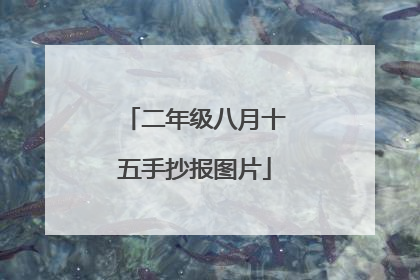 二年级八月十五手抄报图片