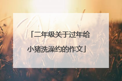 二年级关于过年给小猪洗澡约的作文
