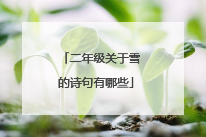 二年级关于雪的诗句有哪些