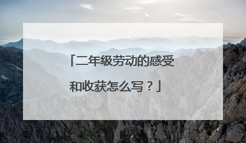 二年级劳动的感受和收获怎么写?