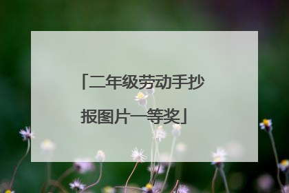 二年级劳动手抄报图片一等奖