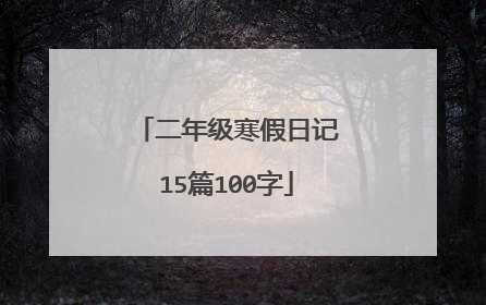 二年级寒假日记15篇100字