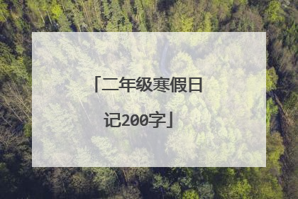 二年级寒假日记200字