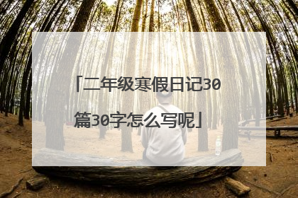 二年级寒假日记30篇30字怎么写呢