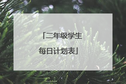 二年级学生每日计划表