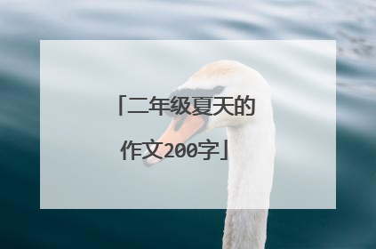 二年级夏天的作文200字