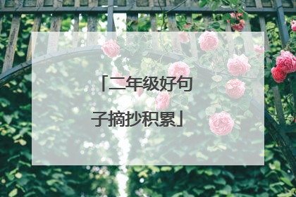 二年级好句子摘抄积累