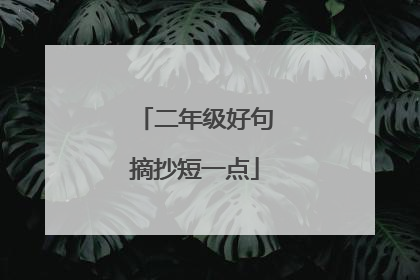 二年级好句摘抄短一点