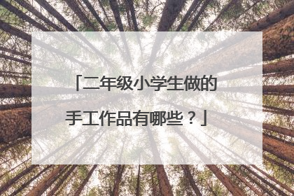 二年级小学生做的手工作品有哪些?