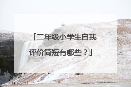 二年级小学生自我评价简短有哪些?