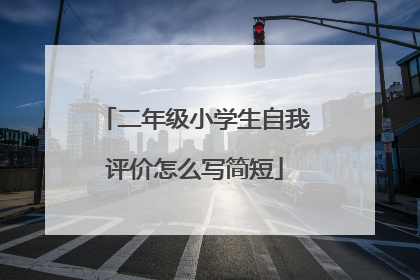 二年级小学生自我评价怎么写简短