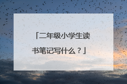 二年级小学生读书笔记写什么？