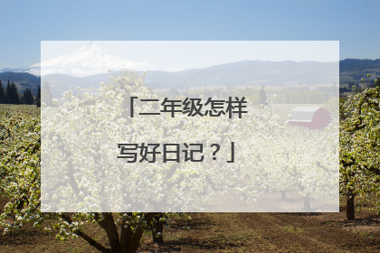 二年级怎样写好日记?