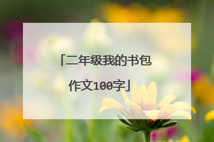 二年级我的书包作文100字
