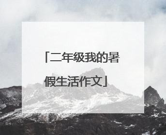 二年级我的暑假生活作文