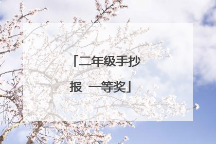 二年级手抄报 一等奖