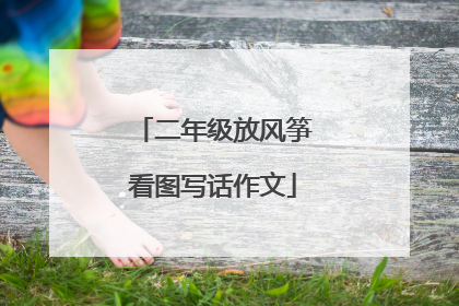 二年级放风筝看图写话作文
