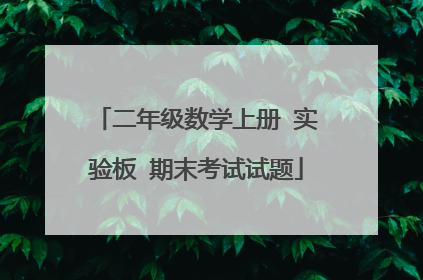 二年级数学上册 实验板 期末考试试题