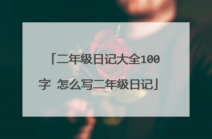 二年级日记大全100字 怎么写二年级日记
