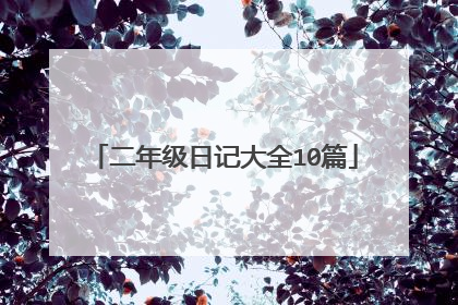 二年级日记大全10篇