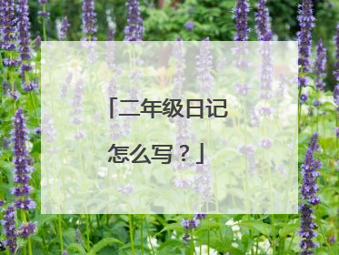 二年级日记怎么写?