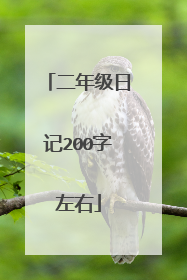 二年级日记200字左右