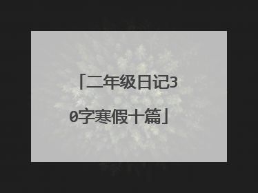 二年级日记30字寒假十篇