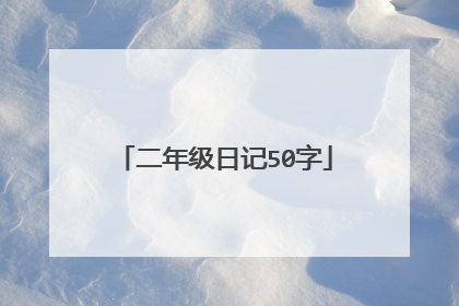 二年级日记50字