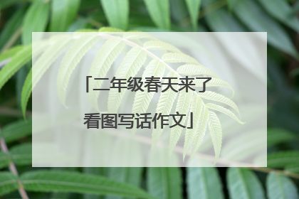 二年级春天来了看图写话作文